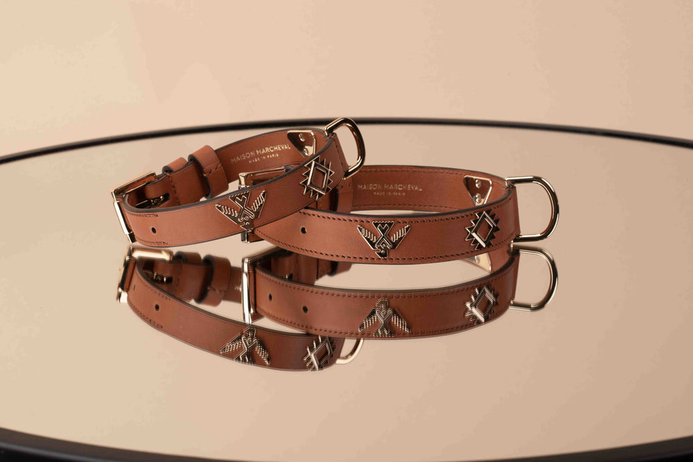 Ze Gaston collier pour chien
